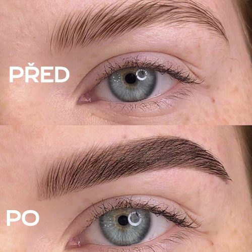 Henna obočí- barvení obočí před a po, kosmetička Plzeň